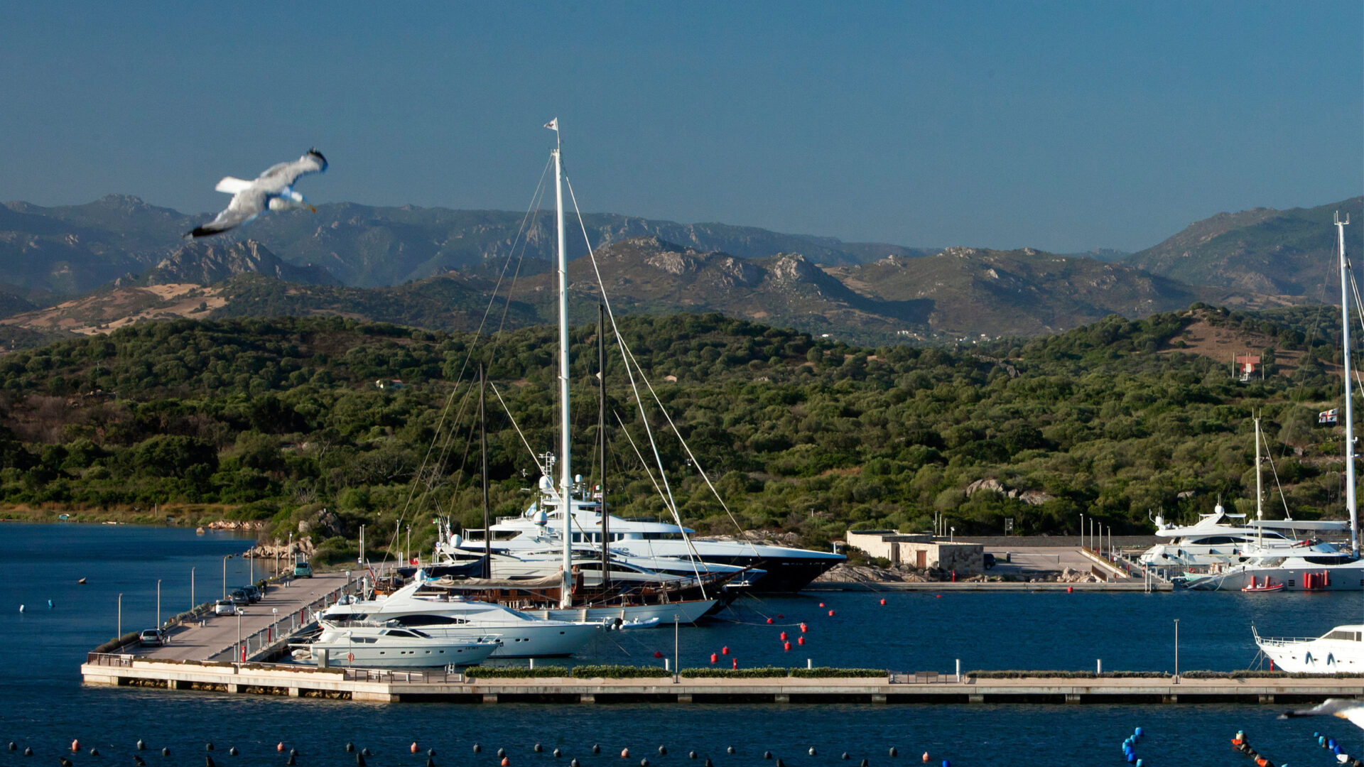 moys marina di olbia yachting services